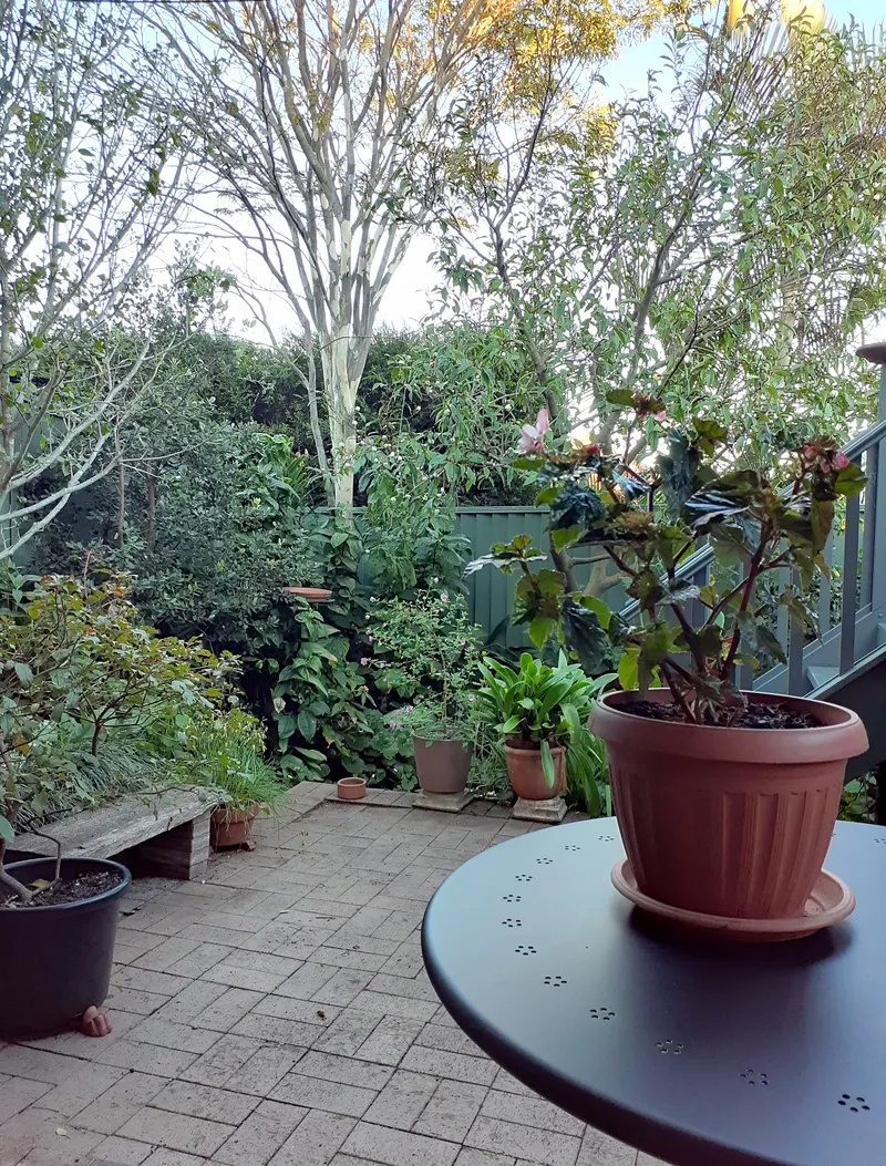 Verandah at 11 Stone Street Earlwood