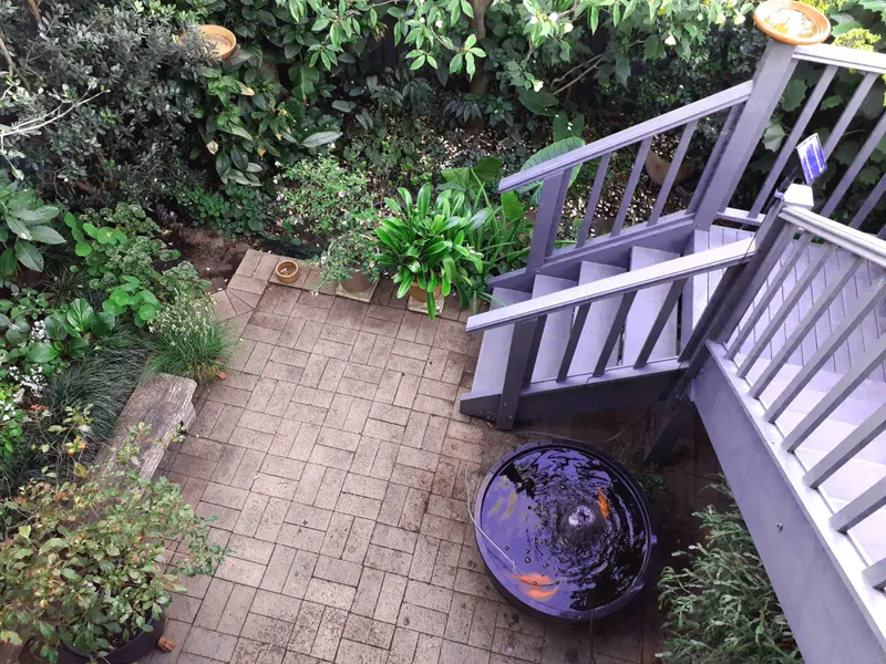 Outlook from 11 Stone Street Earlwood
