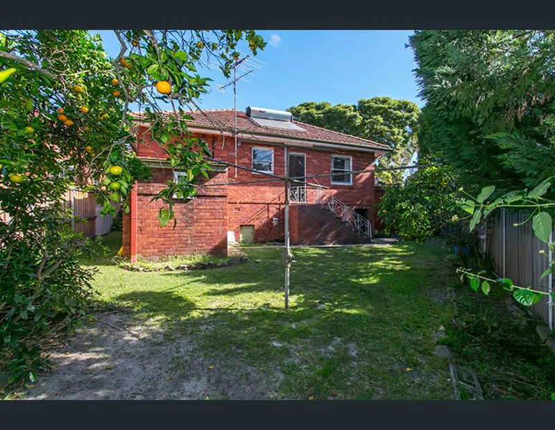 Outdoor area at 12 Darley Rd Bardwell Park
