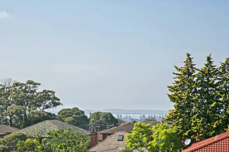 Outlook from 2/10 Monomeeth St Bexley