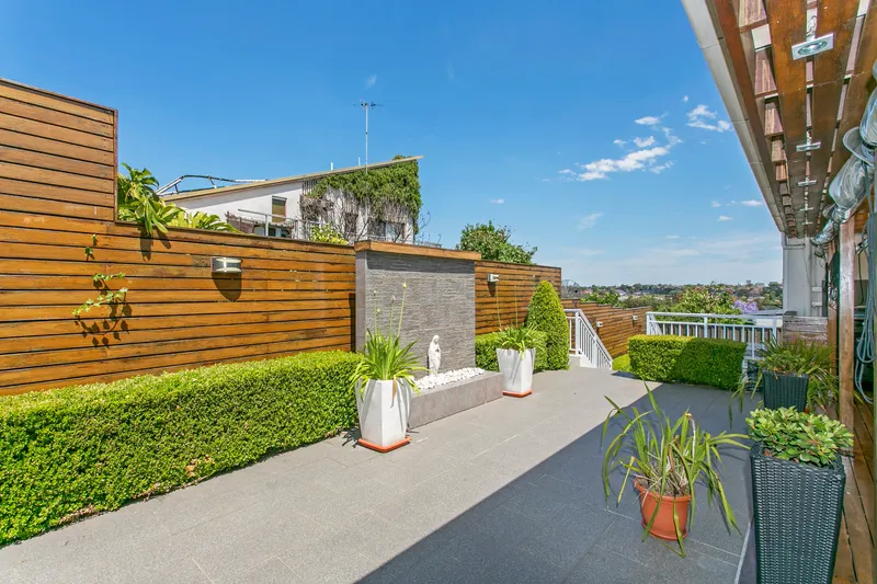 Outdoor area at 8 Pangee St Kingsgrove, photo 2 of 2