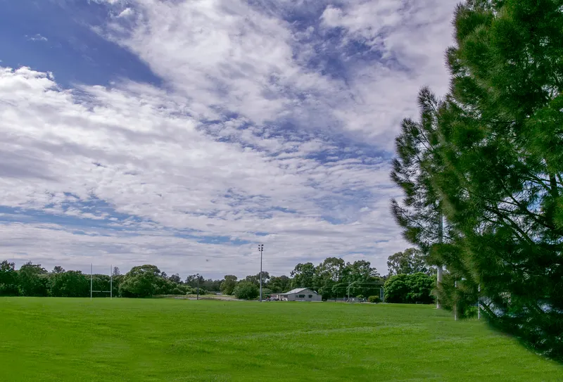 Outlook from 90 River St Earlwood